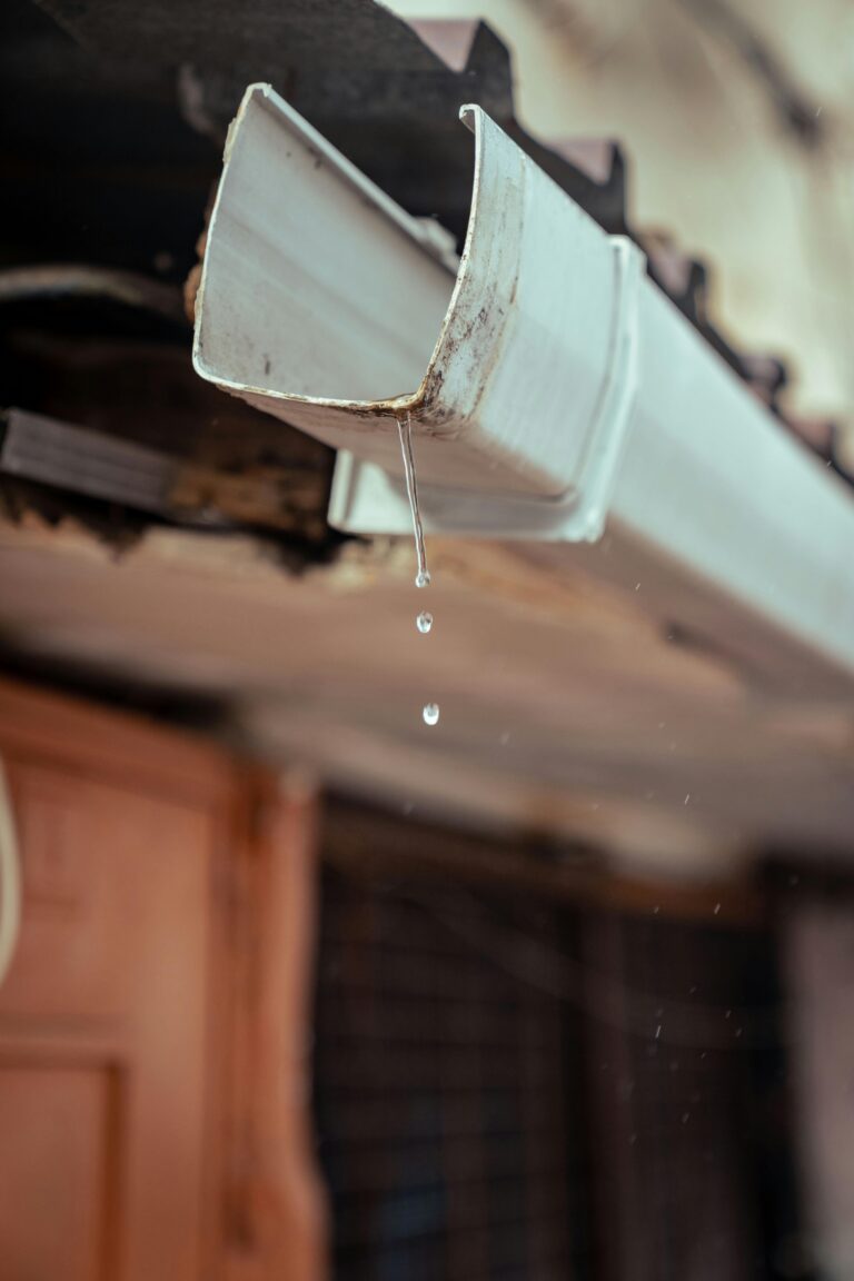 Taking Care of Your House